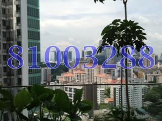 Espada (D9), Apartment #169037352